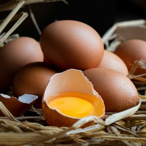 Eggs Ingredient