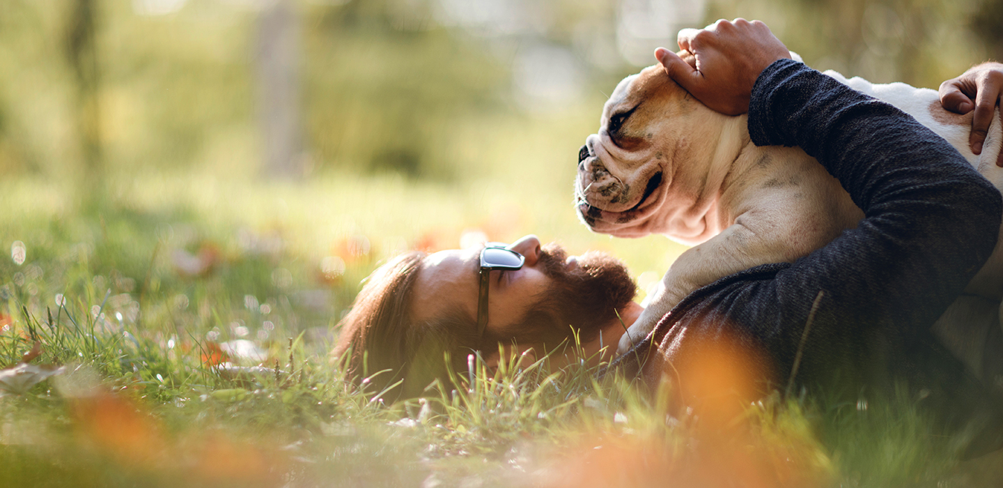 Happy Dog with Owner