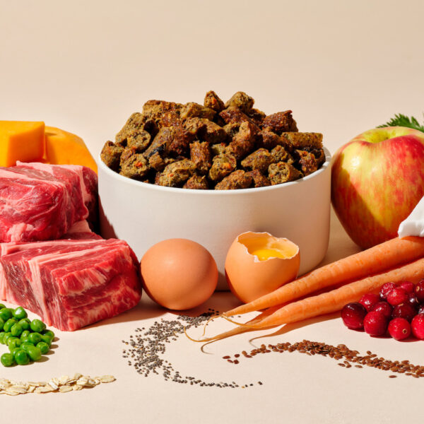 Better Kibble Beef Ingredients Image with bowl