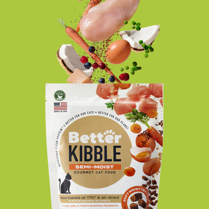 Kibble food outlet for cats