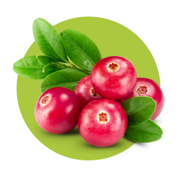 Cranberries